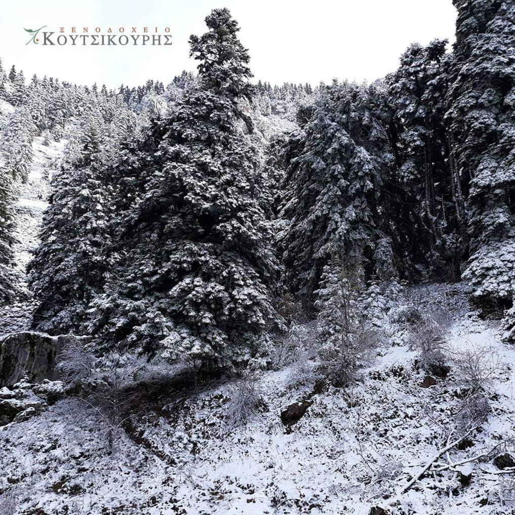 Koutsikouris Hotel Platanakos ภายนอก รูปภาพ